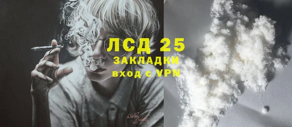 молекула духа Каменка