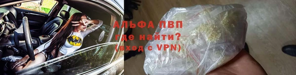 стаф Касимов