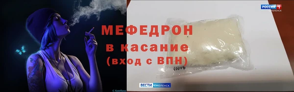 стаф Касимов