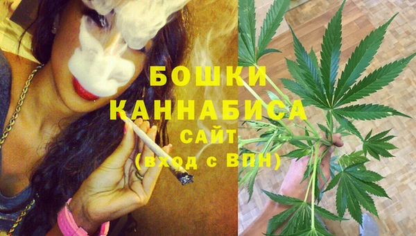 стаф Касимов