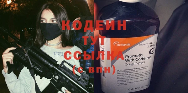 молекула духа Каменка