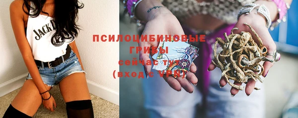 стаф Касимов