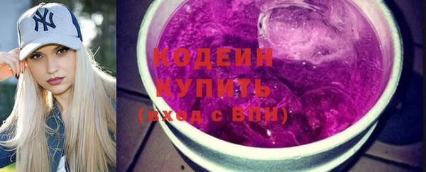 молекула духа Каменка