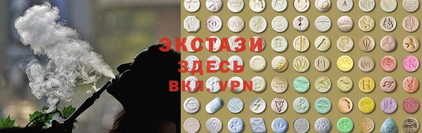 стаф Касимов
