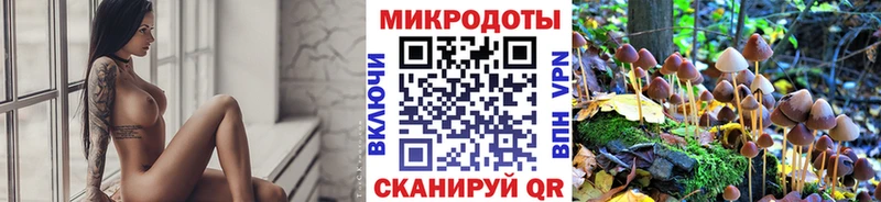 дарнет шоп  Кологрив  Псилоцибиновые грибы GOLDEN TEACHER 